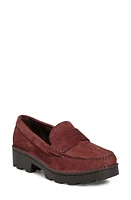 Børn Carrera Suede Loafer in Burgundy Suede at Nordstrom, Size 7