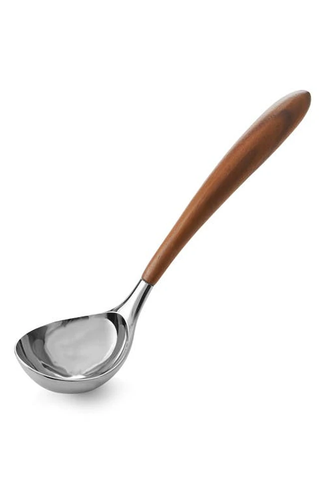 Nambé 'Curvo' Ladle in Silver at Nordstrom