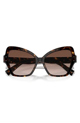 Dolce & Gabbana 56mm Butterfly Polarized Sunglasses in Havana at Nordstrom