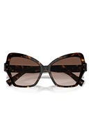 Dolce & Gabbana 56mm Butterfly Polarized Sunglasses in Havana at Nordstrom