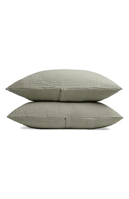 Parachute Cloud Cotton Sham Set in Moss at Nordstrom