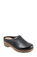 SoftWalk Arvada Mule Black at Nordstrom,