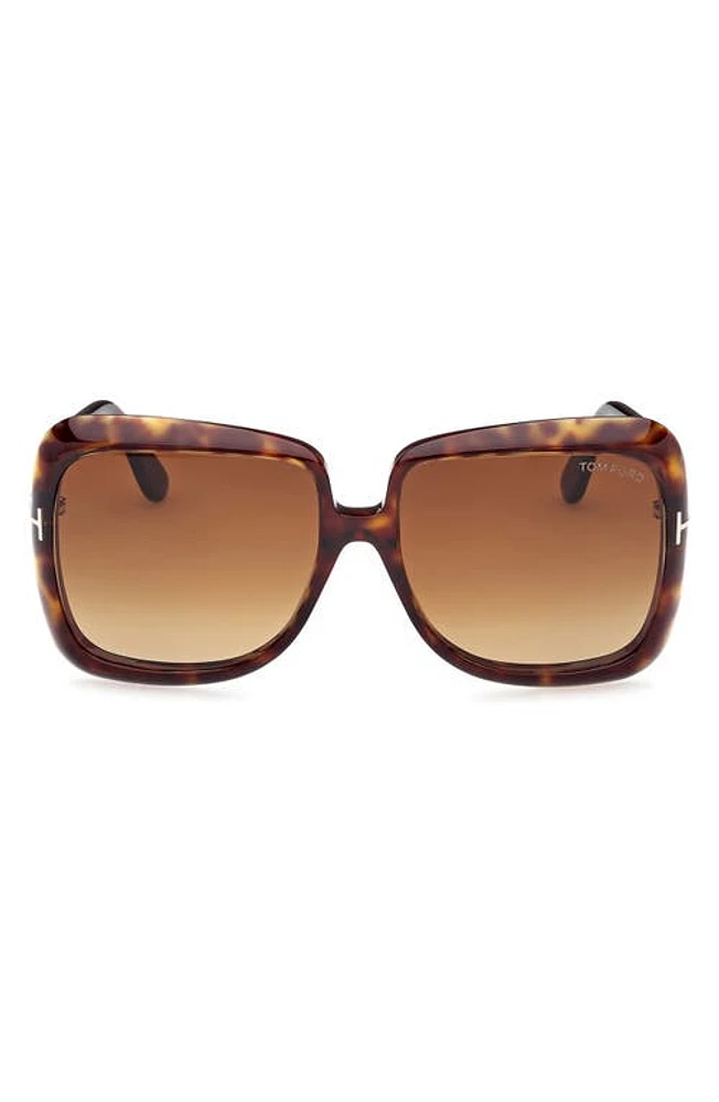 TOM FORD Lorelai 59mm Square Sunglasses in Shiny Dark Havana /Brown at Nordstrom