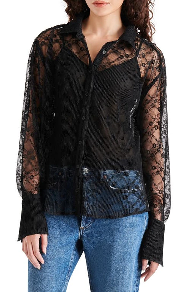 Steve Madden Dawson Lace Shirt Black at Nordstrom,