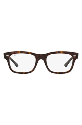 Ray-Ban 54mm Optical Glasses in Havana at Nordstrom