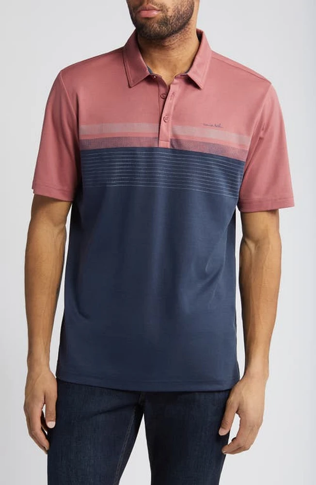 TravisMathew Margarita Mayhem Polo at Nordstrom,