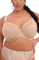 Elomi Charley Full Figure Underwire Plunge Bra at Nordstrom,