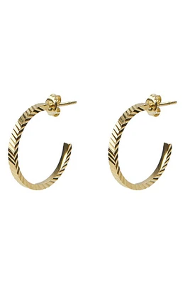 Argento Vivo Sterling Silver Medium Hoop Earrings in Gold at Nordstrom