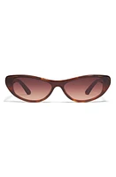 Quay Australia x Guizio Slate 37mm Gradient Cat Eye Sunglasses in Tortoise Dark Brown at Nordstrom