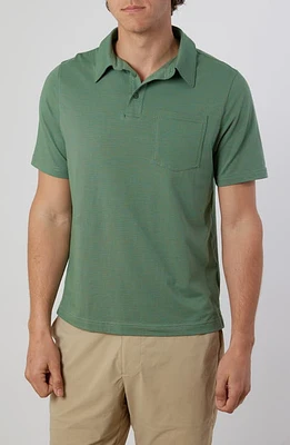 Rainforest Cliffside Solid Stretch Polo Heather at Nordstrom,