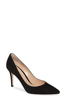 Gianvito Rossi Pointed Toe Pump at Nordstrom,