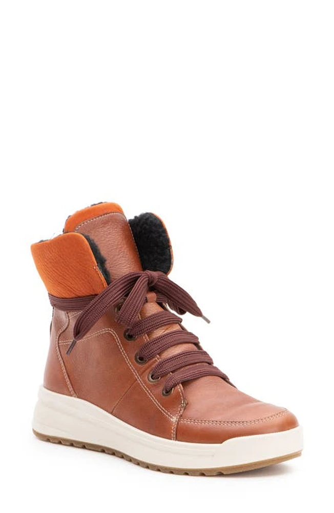 ara Albany Water Repellent Wool Lined Bootie Cognac/Ambra at Nordstrom,