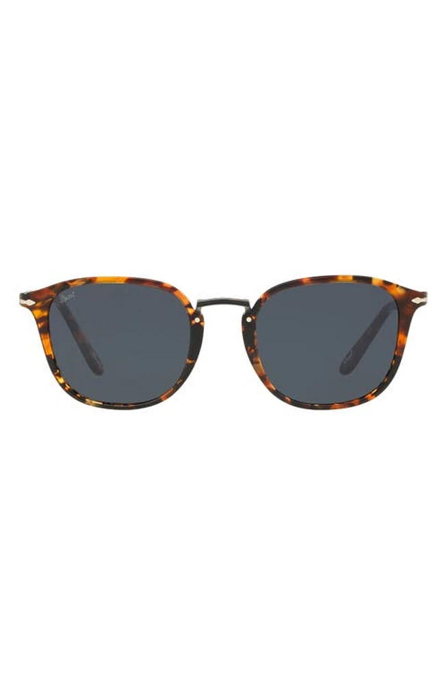 Persol 53mm Round Sunglasses in Brown Tort at Nordstrom