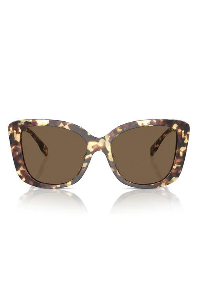 Tory Burch 54mm Butterfly Sunglasses in Dark Brown at Nordstrom