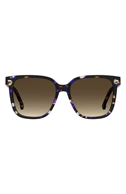 Carrera Eyewear 55mm Rectangular Sunglasses in Violet Havana/Brown Gradient at Nordstrom