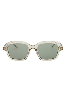 Grey Ant Sext Square Sunglasses in Clear/Green at Nordstrom