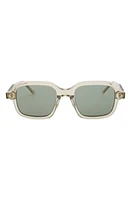 Grey Ant Sext Square Sunglasses in Clear/Green at Nordstrom