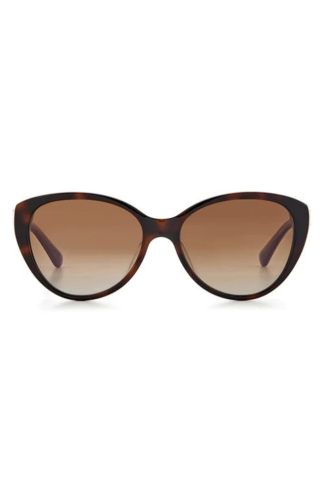 Kate Spade New York visalia 55mm gradient cat eye sunglasses in Dark Havana/Brown Gradient at Nordstrom