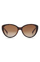 Kate Spade New York visalia 55mm gradient cat eye sunglasses in Dark Havana/Brown Gradient at Nordstrom