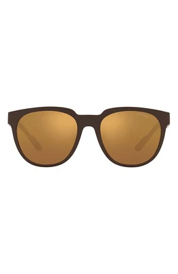 Emporio Armani 55mm Mirrored Phantos Sunglasses in Mattebrown at Nordstrom