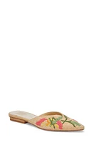 Dolce Vita Elm Mule in Floral Multi Raffia at Nordstrom, Size 6