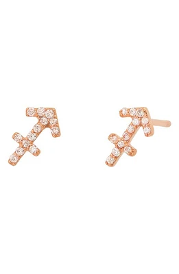 BYCHARI Zodiac Diamond Stud Earrings in 14K Rose Gold