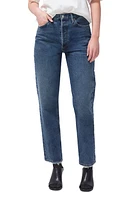 AGOLDE '90s Pinch High Waist Straight Leg Organic Cotton Jeans Range at Nordstrom,