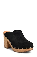 Kork-Ease Sudbury Clog in Black Suede at Nordstrom, Size 11