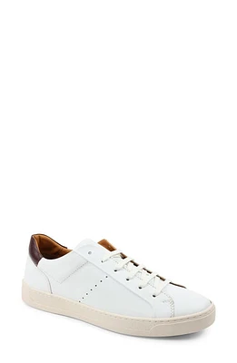 Bruno Magli Dante Oxford Sneaker Calf at Nordstrom