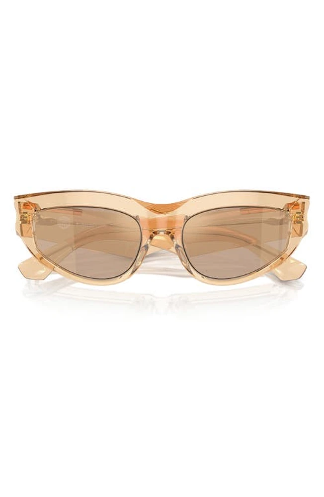 burberry 55mm Cat Eye Sunglasses in Brown at Nordstrom