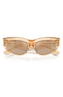 burberry 55mm Cat Eye Sunglasses in Brown at Nordstrom