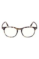 TOM FORD 50mm Blue Light Blocking Glasses in Colored Havana at Nordstrom