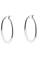 Argento Vivo Sterling Silver Oval Hoop Earrings at Nordstrom