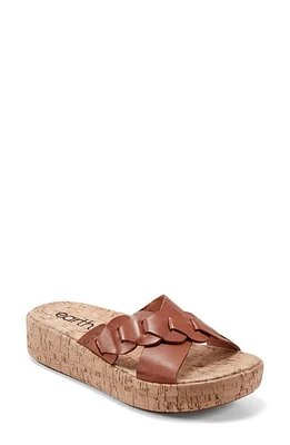 Earth Scotti Platform Slide Sandal at Nordstrom,