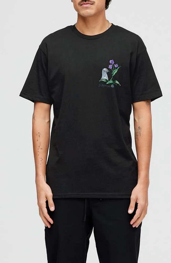 Stance Pigeon Street Cotton Graphic T-Shirt Black at Nordstrom,