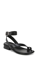 Naturalizer Birch Ankle Strap Sandal Leather at Nordstrom,