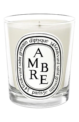 Diptyque Ambre (Amber) Scented Candle at Nordstrom