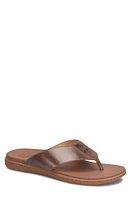 Børn Gavin Flip Flop Dark Brown Leather at Nordstrom,