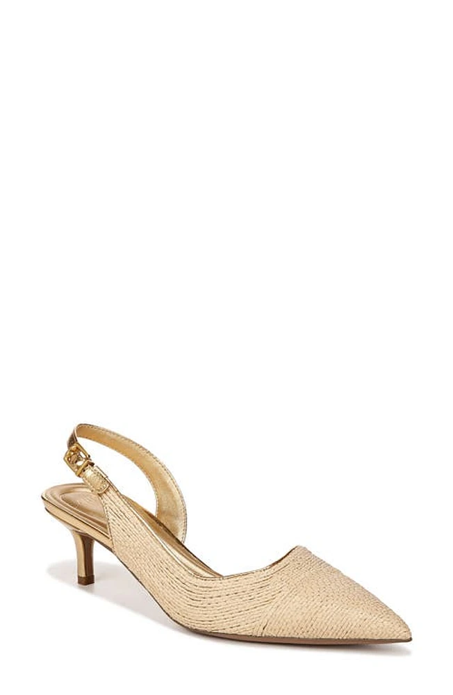 Sarto by Franco Kimberly Half d'Orsay Pointed Toe Kitten Heel Pump Naturalgold at Nordstrom,