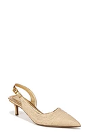 Sarto by Franco Kimberly Half d'Orsay Pointed Toe Kitten Heel Pump Naturalgold at Nordstrom,