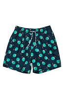 Snapper Rock Kids' Coco Loco Volley Board Shorts Navy at Nordstrom,