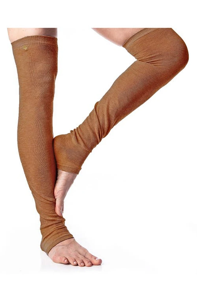 Arebesk Leg Warmers in Rust at Nordstrom