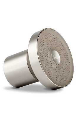 The Jolie Filtered Shower Head in Brushed Steel at Nordstrom