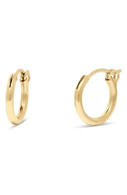 Brook and York Nellie Hoop Earrings in Gold