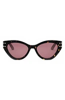 ‘DiorSignature B7I 52mm Cat Eye Sunglasses in Havana/Bordeaux at Nordstrom