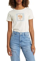 GOLDEN HOUR Amsterdam Graphic T-Shirt in Washed Marshmallow at Nordstrom, Size X-Small