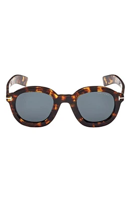 TOM FORD Raffa 46mm Round Sunglasses in Vintage Havana /Dark Teal at Nordstrom