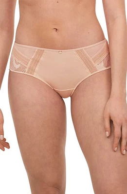 Chantelle Lingerie True Lace Hipster Briefs in Beige Blush-1N at Nordstrom, Size X-Small