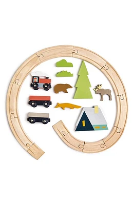 Tender Leaf Toys Treetops Train Set in Multi at Nordstrom