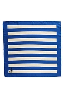 JW Anderson Stripe Silk Scarf in Blue/White at Nordstrom